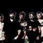 Foals