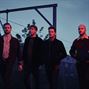 Wild Beasts