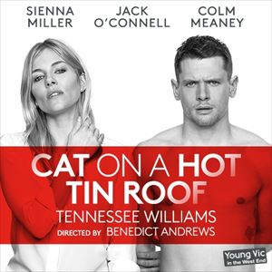 Cat on a Hot Tin Roof