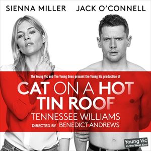 Cat on a Hot Tin Roof