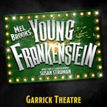 Young Frankenstein Young Frankenstein