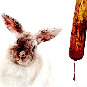 Rabbits Rabbits