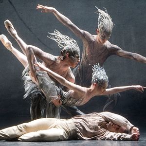 Birmingham Royal Ballet - Mixed Bill Birmingham Royal Ballet - Mixed Bill