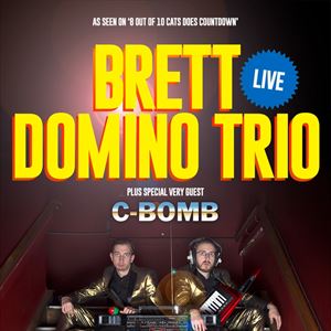 Brett Domino Brett Domino