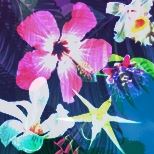 Kew Gardens