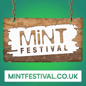 MiNT Festival 2017 MiNT Festival 2017