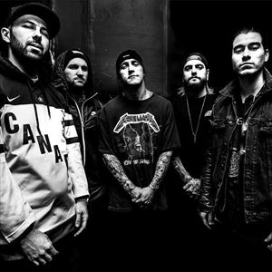 OBEY THE BRAVE OBEY THE BRAVE