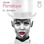 Partenope Partenope