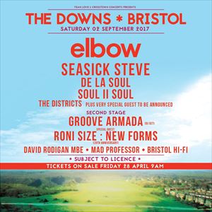 The Downs Festival 2017 The Downs Festival 2017
