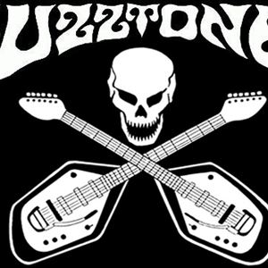THE FUZZTONES THE FUZZTONES
