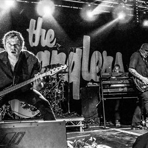 The Stranglers The Stranglers