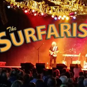THE SURFARIS THE SURFARIS