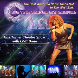 The Tina Turner Experience UK Tour The Tina Turner Experience UK Tour