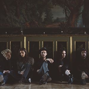 THE VEILS THE VEILS