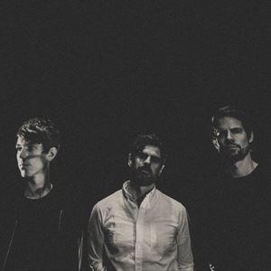 Tycho Tycho