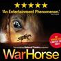 War Horse War Horse