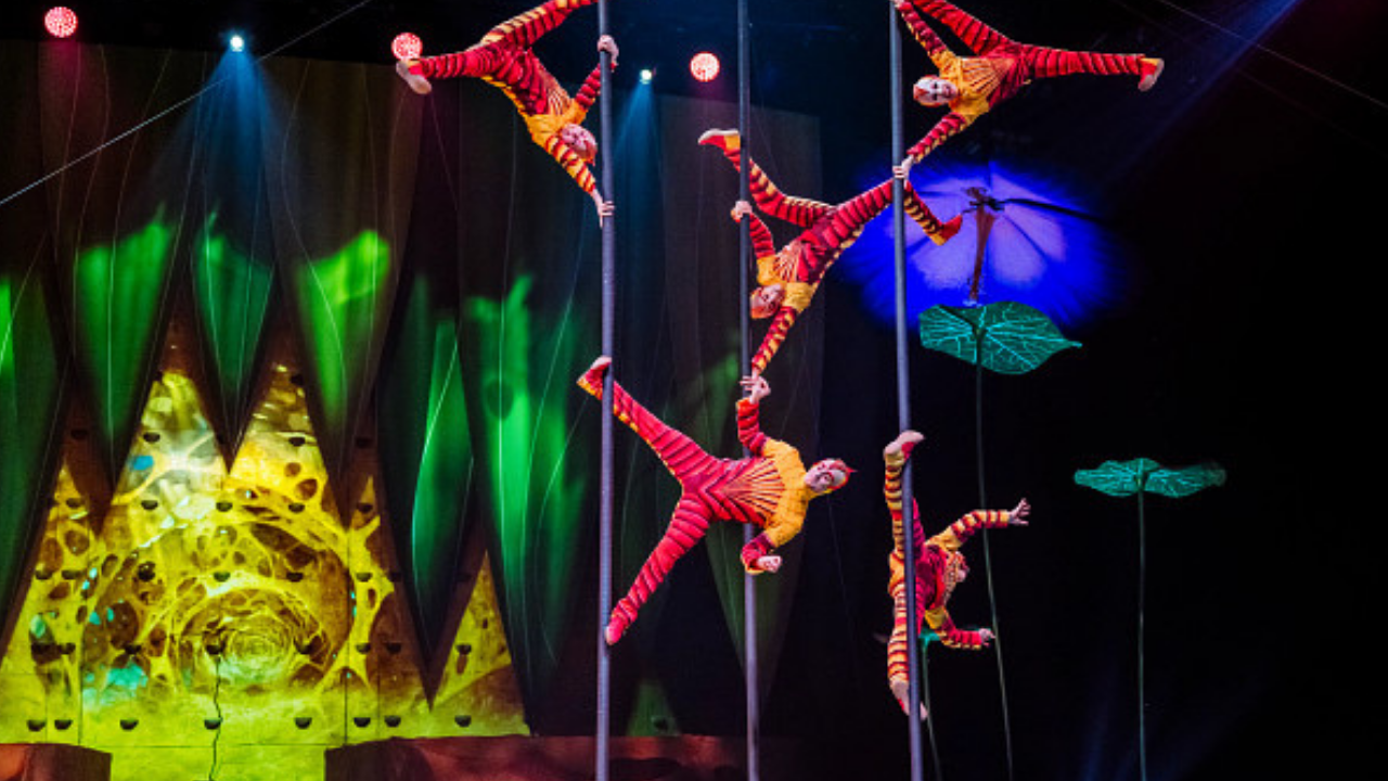 Cirque du Soleil OVO