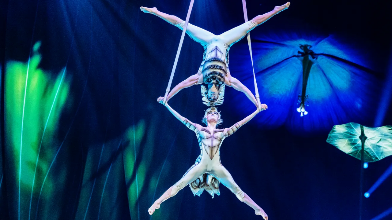 Cirque du Soleil OVO