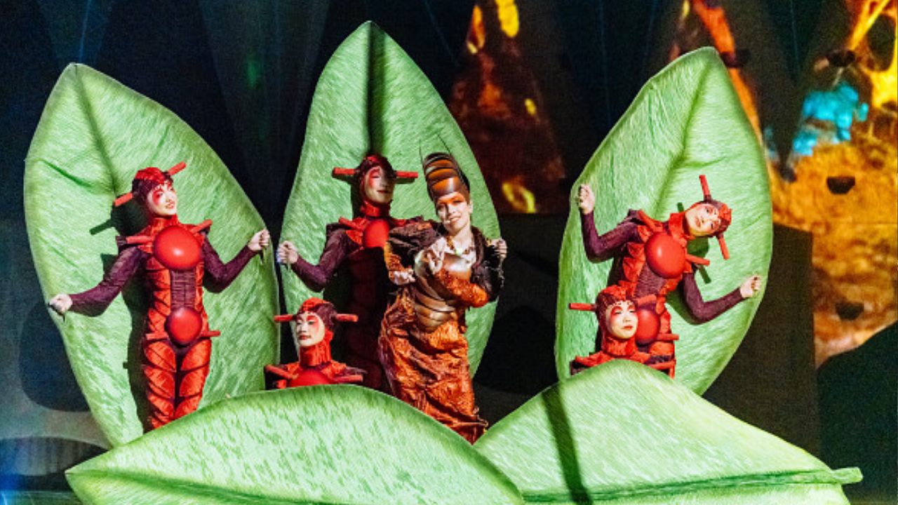 Cirque du Soleil OVO