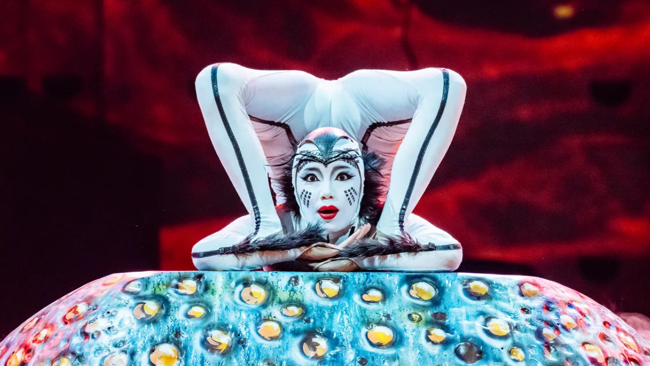 Cirque du Soleil OVO