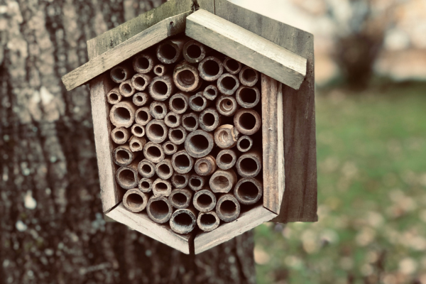 Bug Hotel