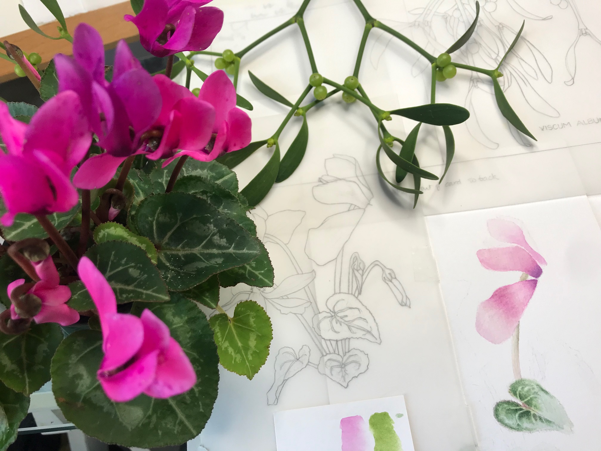 Christmas Botanical Card Painting Workshop
