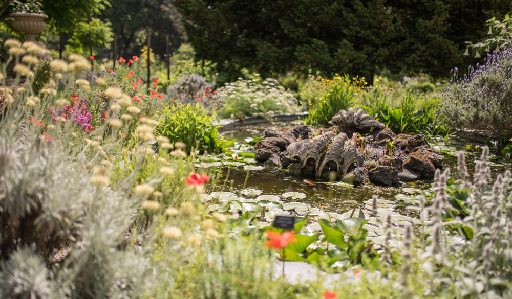 CHELSEA PHYSIC GARDEN