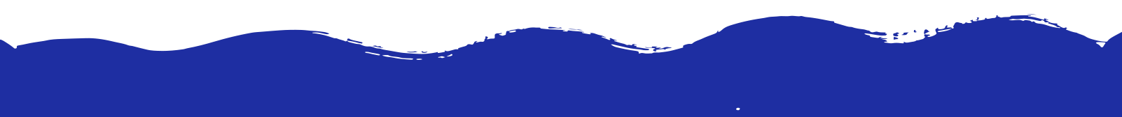 banner_bottom