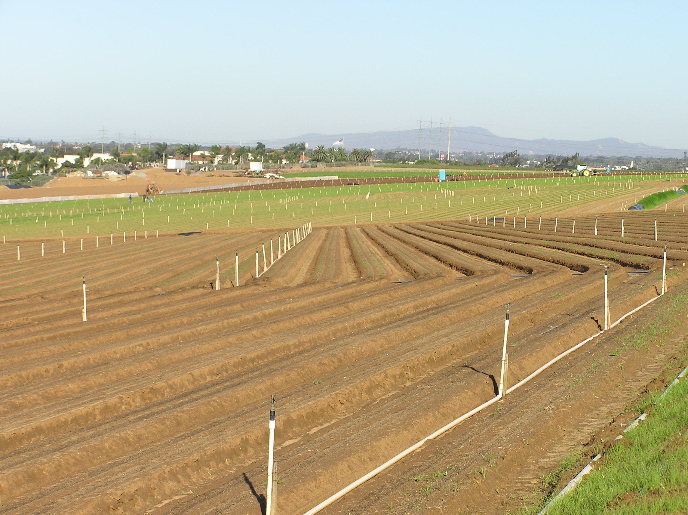 Cultivated fields prepared for planting at the flower fields carlsbad.