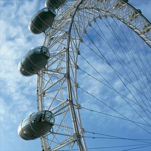 1 Day Hop-on Hop-off Bus Ticket + The Coca-Cola London Eye 1 Day Hop-on Hop-off Bus Ticket + The Coca-Cola London Eye