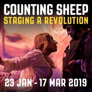 Counting Sheep Counting Sheep