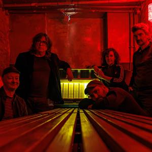 The Magnetic Fields