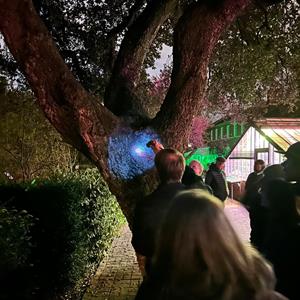 Nature After Dark Walk