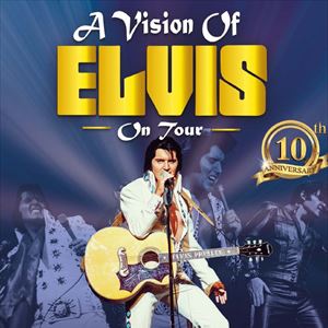 A Vision Of Elvis A Vision Of Elvis