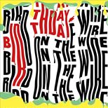 Bird On The Wire's Birthday