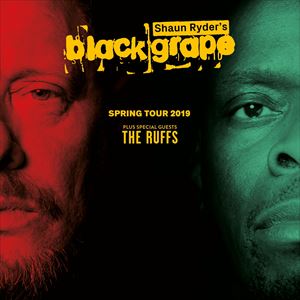 Black Grape Black Grape