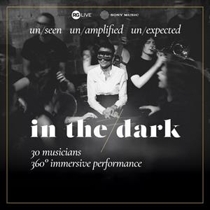 in the dark - PULSE