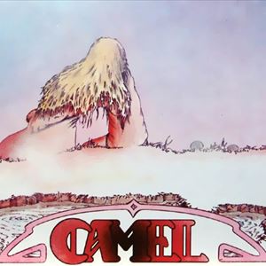 Camel Camel