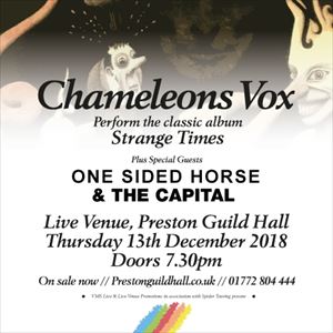 Chameleons Vox | Strange Times Chameleons Vox | Strange Times