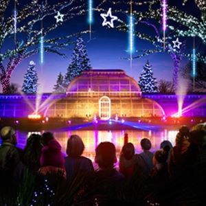 christmas kew 2019/2020