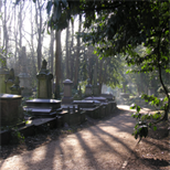 Coach + Highgate Cemetery - North Essex