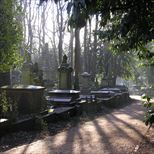 Coach + Highgate Cemetery Tour - South Essex