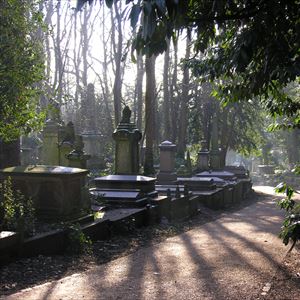 Coach + Highgate Cemetery Tour - South Essex Coach + Highgate Cemetery Tour - South Essex