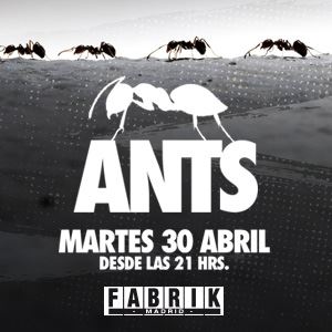 Fabrik - Ants Fabrik - Ants