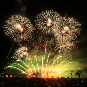 Firework Champions - Belvoir Castle Firework Champions - Belvoir Castle