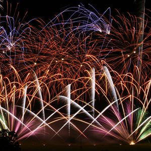 Firework Champions - Ragley Hall Firework Champions - Ragley Hall