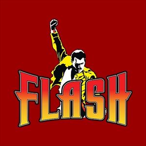 Flash Flash