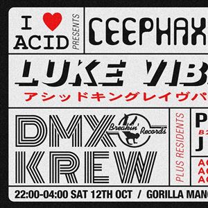 I Love Acid I Love Acid