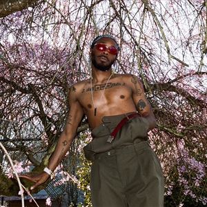 Jpegmafia Jpegmafia