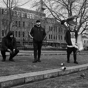 King 810 King 810
